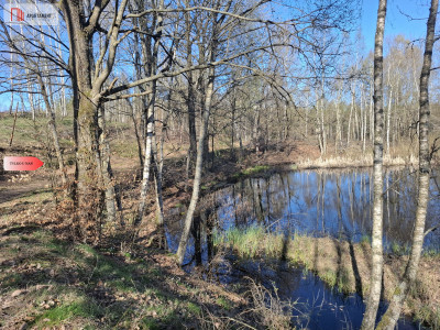 Działka 3 ha z lasem i stawem  WZ  Jeleńcz - Jeleńcz  - Pomorskie