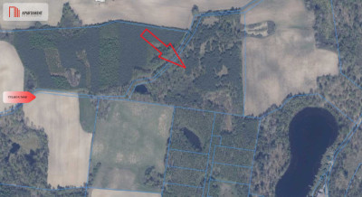 Działka 3 ha z lasem i stawem  WZ  Jeleńcz - Jeleńcz  -
Pomorskie Zdjęcie nr 5