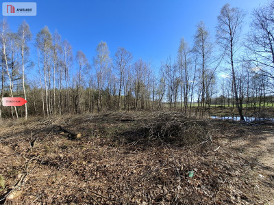 Działka 3 ha z lasem i stawem  WZ  Jeleńcz - Jeleńcz  -
Pomorskie Zdjęcie nr 6