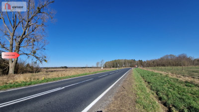 TYLKO U NAS Działka z dużym potencjałem - Stołczno  - Pomorskie