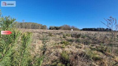 TYLKO U NAS Działka z dużym potencjałem - Stołczno  -
Pomorskie Zdjęcie nr 3