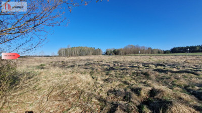 TYLKO U NAS Działka z dużym potencjałem - Stołczno  -
Pomorskie Zdjęcie nr 4