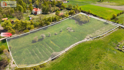 Tylko u nas  Duża działka 146 ha  Suchoręcz - Suchoręcz  -
Kujawsko-Pomorskie Zdjęcie nr 3
