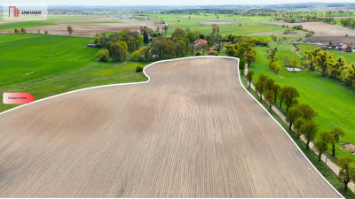 Działka rolna 198 ha - Tylko u nas - Suchoręcz  -
Kujawsko-Pomorskie Zdjęcie nr 3