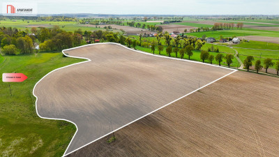 Działka rolna 198 ha - Tylko u nas - Suchoręcz  -
Kujawsko-Pomorskie Zdjęcie nr 4