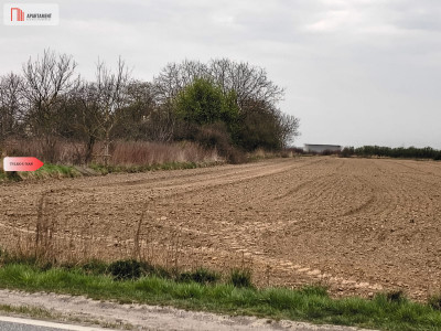 duża działka rolna przy A8 - Oleśnica  -
Dolnośląskie Zdjęcie nr 2