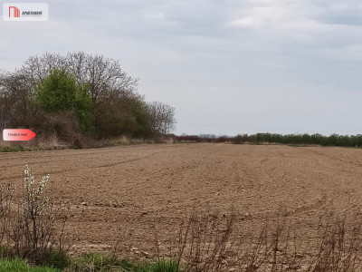 duża działka rolna przy A8 - Oleśnica  -
Dolnośląskie Zdjęcie nr 4