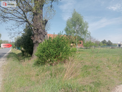 Działka budowlana z gotowym projektem na budowę - Godzięcin  -
Dolnośląskie Zdjęcie nr 5