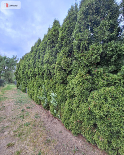 Działka ROD - Smukała przy Brdzie - Bydgoszcz  -
Kujawsko-Pomorskie Zdjęcie nr 9