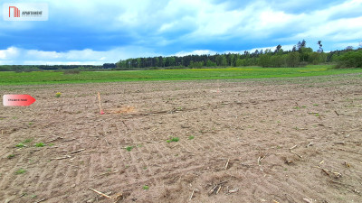 Działki budowlane w spokojnej okolicy - Małe Gacno  -
Kujawsko-Pomorskie Zdjęcie nr 2