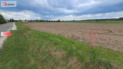 Działki budowlane w spokojnej okolicy - Małe Gacno  -
Kujawsko-Pomorskie Zdjęcie nr 5