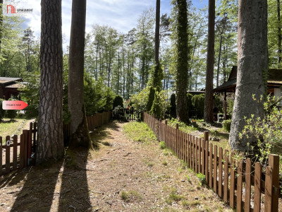 Leśna oazajezioro daczaciszawarunki jDłusko - Złocieniec  -
Zachodniopomorskie Zdjęcie nr 8