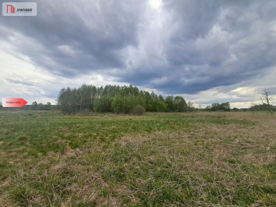 Działka 133 ha Nad rzeką WIERZYCA-LIPY-STRUGA - Lipy  - Pomorskie