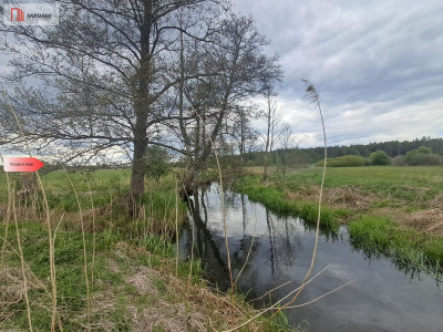 Działka 133 ha Nad rzeką WIERZYCA-LIPY-STRUGA - Lipy  -
Pomorskie Zdjęcie nr 2