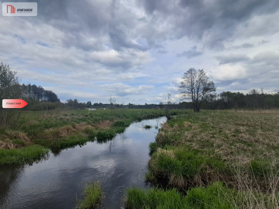 Działka 133 ha Nad rzeką WIERZYCA-LIPY-STRUGA - Lipy  -
Pomorskie Zdjęcie nr 3