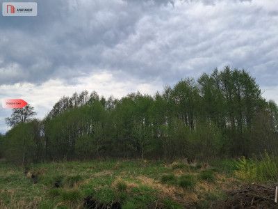 Działka 133 ha Nad rzeką WIERZYCA-LIPY-STRUGA - Lipy  -
Pomorskie Zdjęcie nr 5