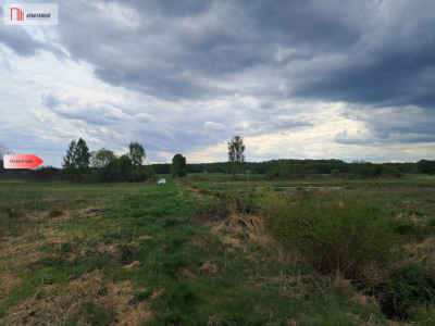 Działka 133 ha Nad rzeką WIERZYCA-LIPY-STRUGA - Lipy  -
Pomorskie Zdjęcie nr 6
