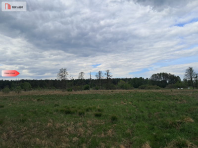 Działka 133 ha Nad rzeką WIERZYCA-LIPY-STRUGA - Lipy  -
Pomorskie Zdjęcie nr 7