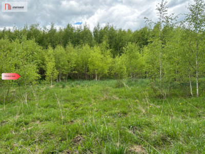 Działka Borcz 3069 m2 MPZP - Borcz  -
Pomorskie Zdjęcie nr 4