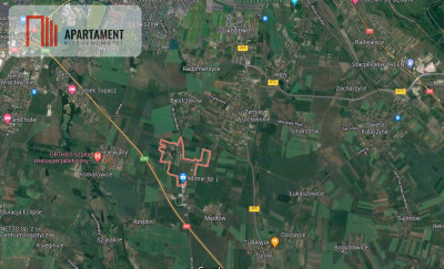 Działka tuż pod Wrocławiem - Suchy Dwór  -
Dolnośląskie Zdjęcie nr 4