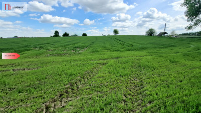 Tu powstanie Twój dom Cicha i spokojna okolica - Kęsowo  -
Kujawsko-Pomorskie Zdjęcie nr 4