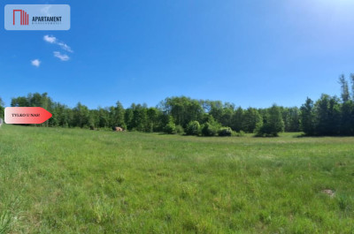 Uzbrojone działki budowlane Załachowo - Załachowo  -
Kujawsko-Pomorskie Zdjęcie nr 13