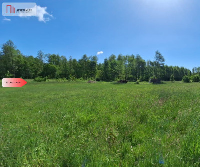 Uzbrojone działki budowlane Załachowo - Załachowo  -
Kujawsko-Pomorskie Zdjęcie nr 3