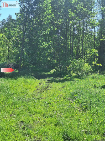 Uzbrojone działki budowlane Załachowo - Załachowo  -
Kujawsko-Pomorskie Zdjęcie nr 4