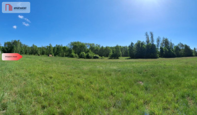 Uzbrojone działki budowlane Załachowo - Załachowo  -
Kujawsko-Pomorskie Zdjęcie nr 8