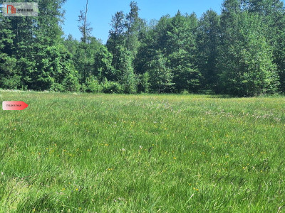 Uzbrojone działki budowlane Załachowo - Załachowo  -
Kujawsko-Pomorskie Zdjęcie nr 9