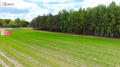 Działka z własnym lasem i widokiem na polany - Brzozie  -
Kujawsko-Pomorskie Zdjęcie nr 5