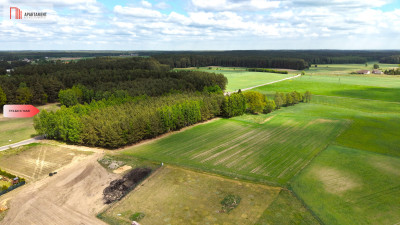 Działka z własnym lasem i widokiem na polany - Brzozie  -
Kujawsko-Pomorskie Zdjęcie nr 6