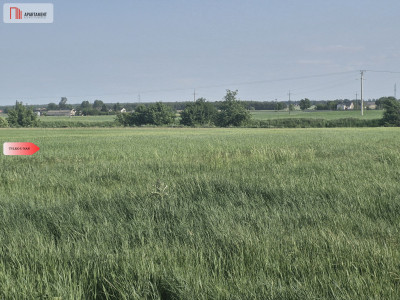  Działka w Żninie 115 złmkw - Żnin  -
Kujawsko-Pomorskie Zdjęcie nr 4