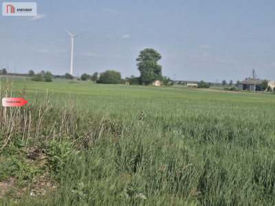  Działka w Żninie 115 złmkw - Żnin  -
Kujawsko-Pomorskie Zdjęcie nr 5