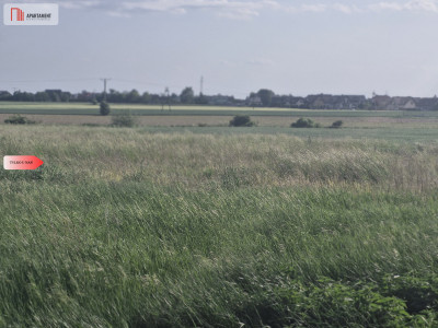  Działka w Żninie 115 złmkw - Żnin  -
Kujawsko-Pomorskie Zdjęcie nr 6