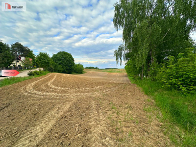 Dwie piękne działki w miejscowości Charzykowy - Charzykowy  -
Pomorskie Zdjęcie nr 2