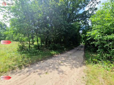 Działki budowlane w lesie blisko Poznania - Niedźwiedziny  -
Wielkopolskie Zdjęcie nr 10