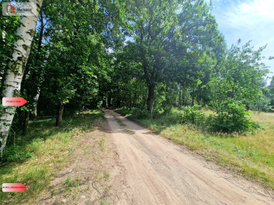 Działki budowlane w lesie blisko Poznania - Niedźwiedziny  -
Wielkopolskie Zdjęcie nr 8