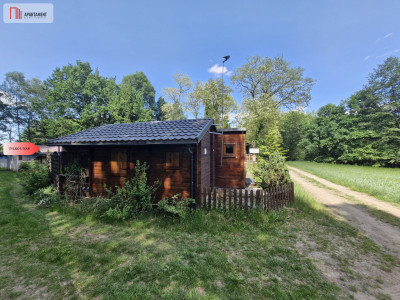 Uroczy domek w lesie - Wójcin  -
Kujawsko-Pomorskie Zdjęcie nr 3