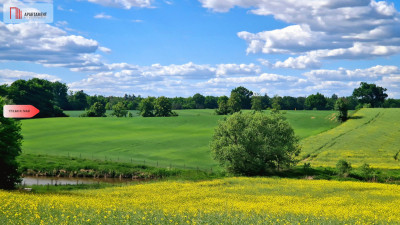 Działka z warunkami zabudowy - Samsieczno  -
Kujawsko-Pomorskie Zdjęcie nr 2