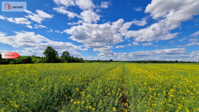 Działka z warunkami zabudowy - Samsieczno  -
Kujawsko-Pomorskie Zdjęcie nr 3