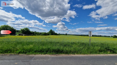 Działka z warunkami zabudowy - Samsieczno  -
Kujawsko-Pomorskie Zdjęcie nr 4