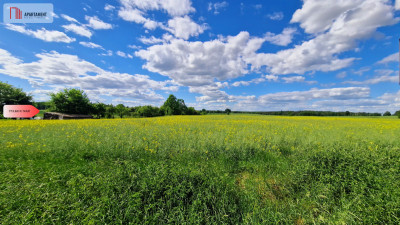 Działka z warunkami zabudowy - Samsieczno  -
Kujawsko-Pomorskie Zdjęcie nr 5