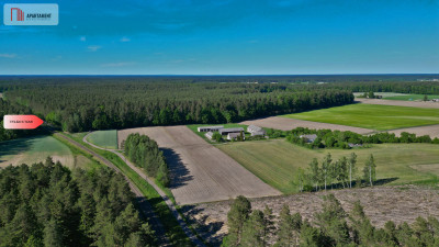 Tylko u nas4500 m ciszy i zieleniBory Tuchols - Rówki  -
Pomorskie Zdjęcie nr 10