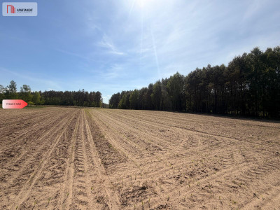 Tylko u nas4500 m ciszy i zieleniBory Tuchols - Rówki  -
Pomorskie Zdjęcie nr 2