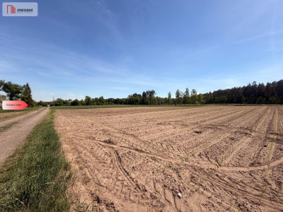Tylko u nas4500 m ciszy i zieleniBory Tuchols - Rówki  -
Pomorskie Zdjęcie nr 4