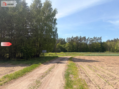 Tylko u nas4500 m ciszy i zieleniBory Tuchols - Rówki  -
Pomorskie Zdjęcie nr 5