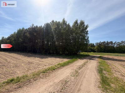 Tylko u nas4500 m ciszy i zieleniBory Tuchols - Rówki  -
Pomorskie Zdjęcie nr 6