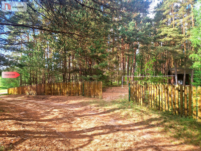 TYLKO U NAS Działka z domkiem i lasem nad Wdą - Miedzno  -
Pomorskie Zdjęcie nr 14
