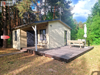 TYLKO U NAS Działka z domkiem i lasem nad Wdą - Miedzno  -
Pomorskie Zdjęcie nr 2